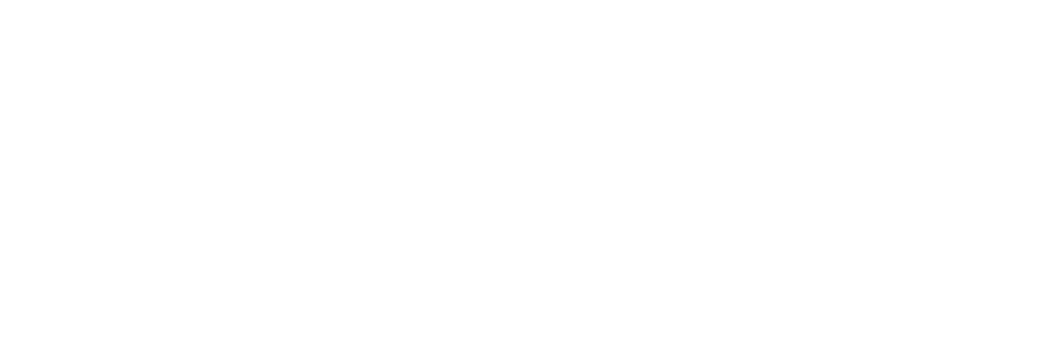 bTV Media Group