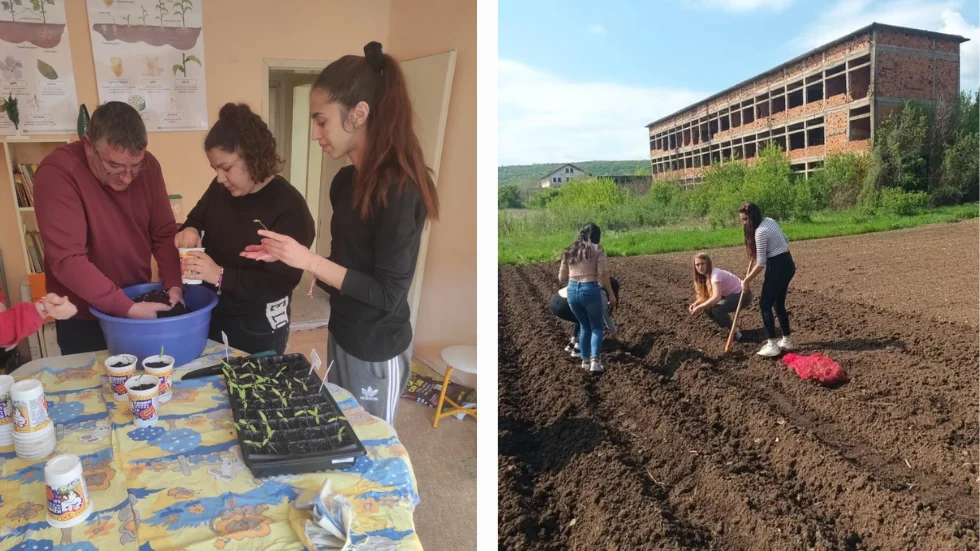 От земята до чинията: как селскостопанската практика подпомага личностното и образователното развитие?