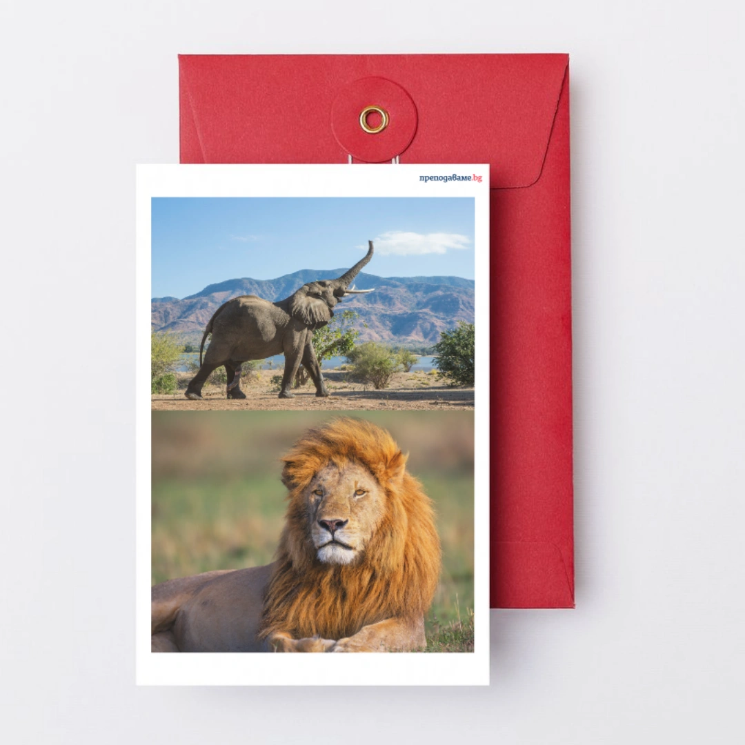 Prepodavame.bg_4kl_CHP_PBO Domovete na jivotnite_RL - Snimki jivotni urok 1