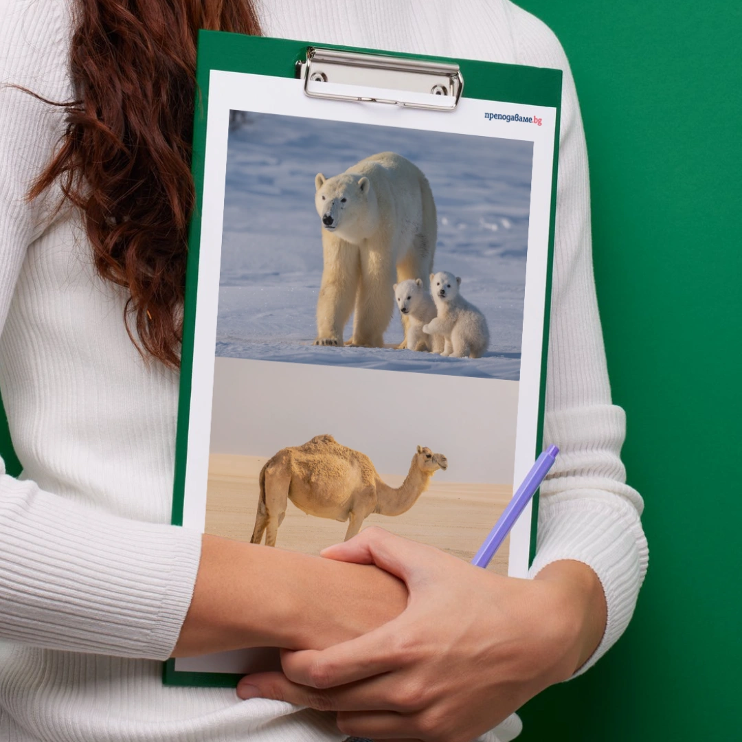 Prepodavame.bg_4kl_CHP_PBO Domovete na jivotnite_RL - Snimki jivotni urok 2