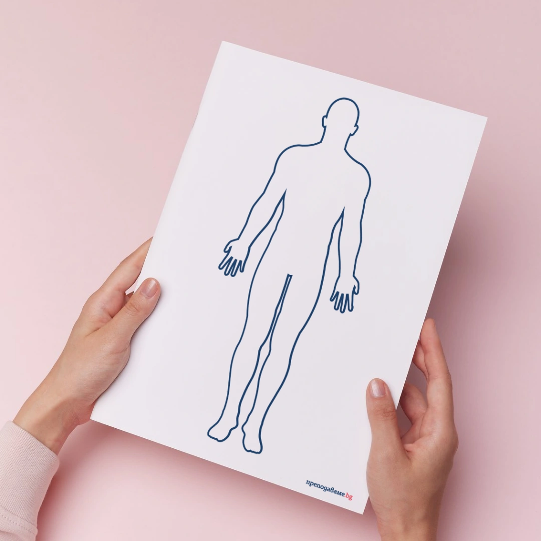 Prepodavame.bg_4kl_CHP_PBO Misiq zdravoslovna chiniq_RL - Shema choveskoto tqlo kum urok 1