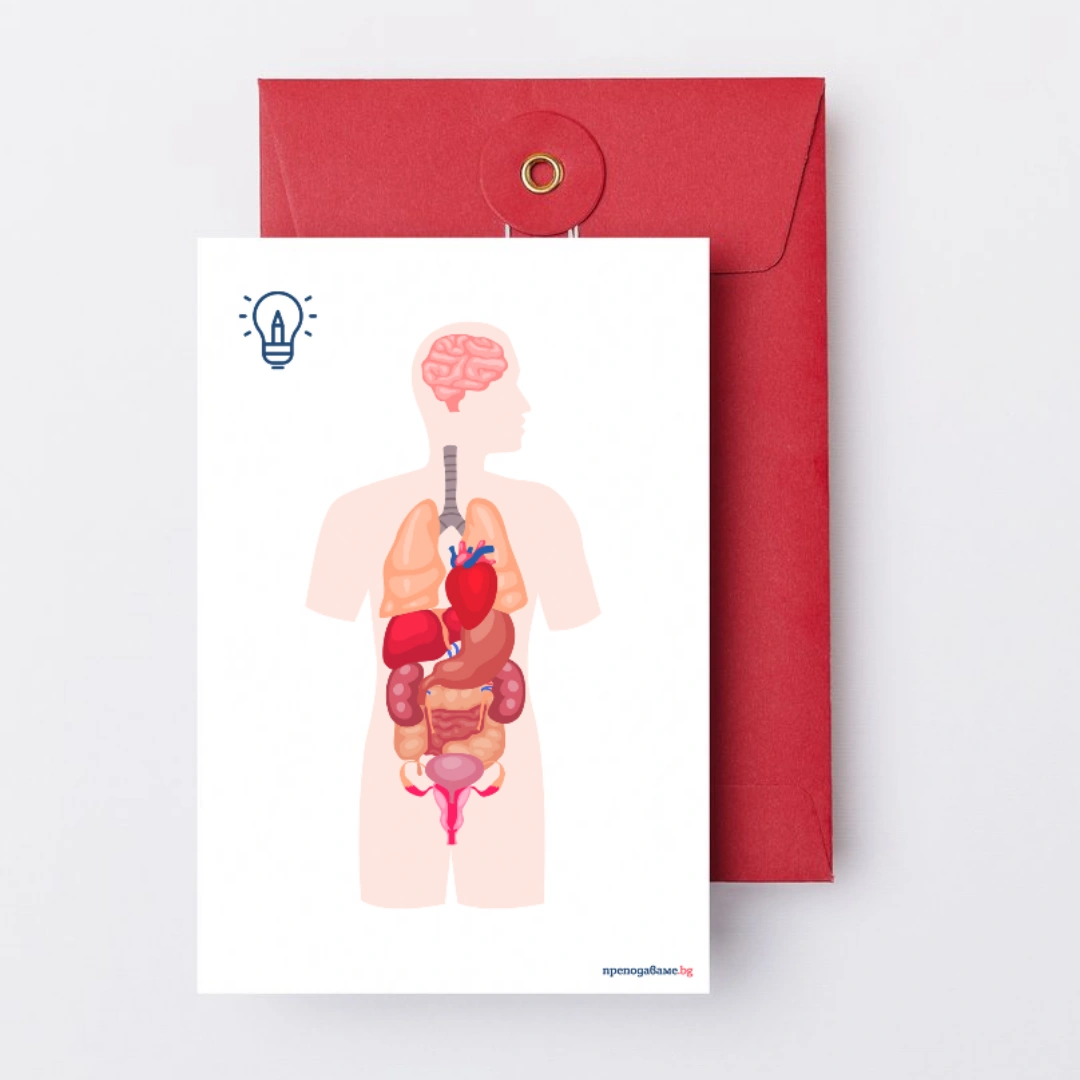 Prepodavame.bg_4kl_CHP_PBO Misiq zdravoslovna chiniq_RL - Vizualizaciq choveskoto tqlo kum urok 1