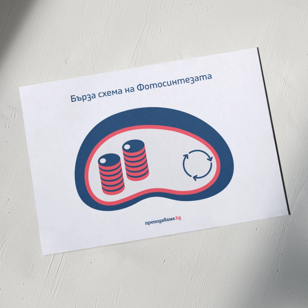 Prepodavame.bg_9kl_BIO_PBO Fotosintezata-zeleniya-dvigatel-na-zhivota-na-Zemyata_RL Burza-shema