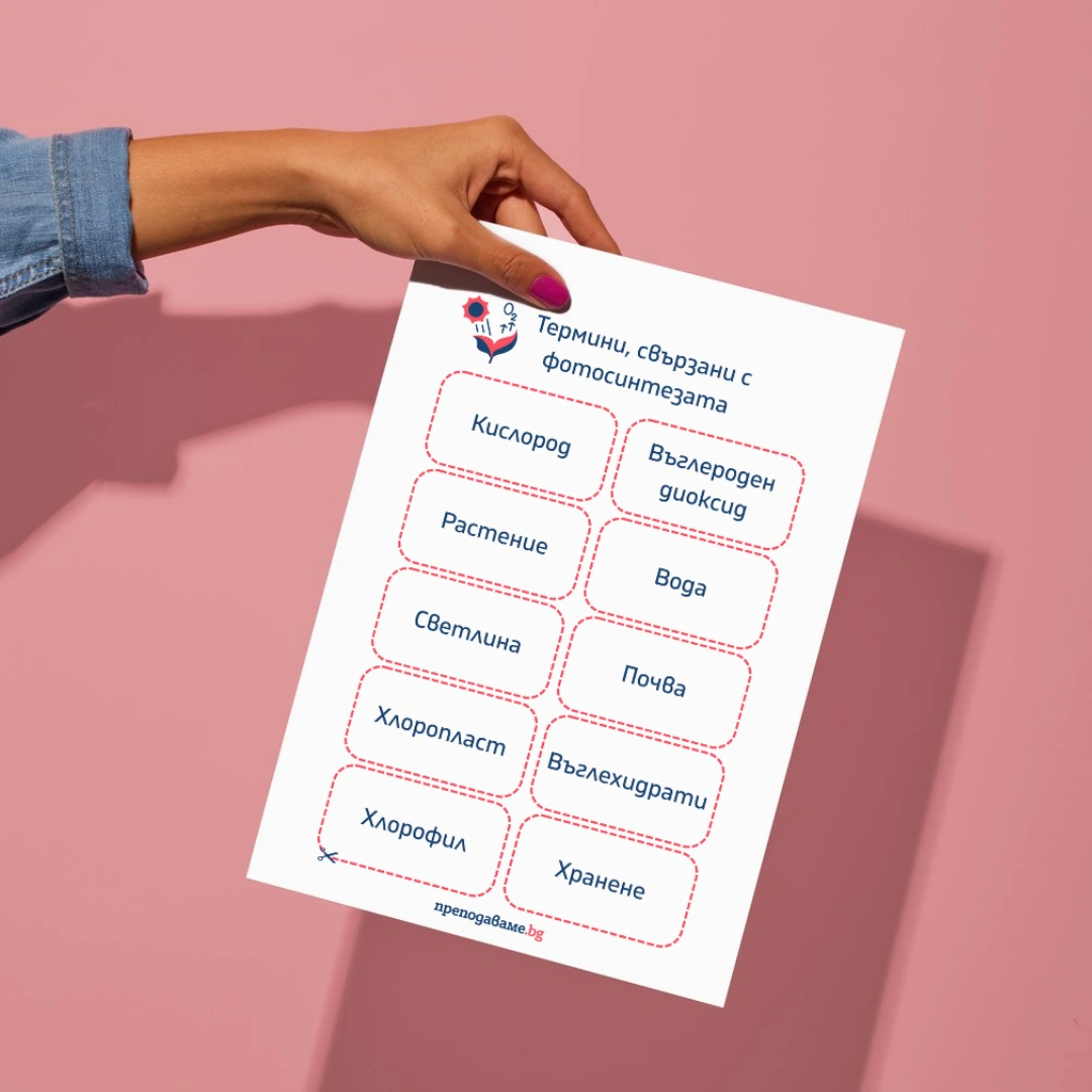 Prepodavame.bg_9kl_BIO_PBO Fotosintezata-zeleniya-dvigatel-na-zhivota-na-Zemyata_RL Termini