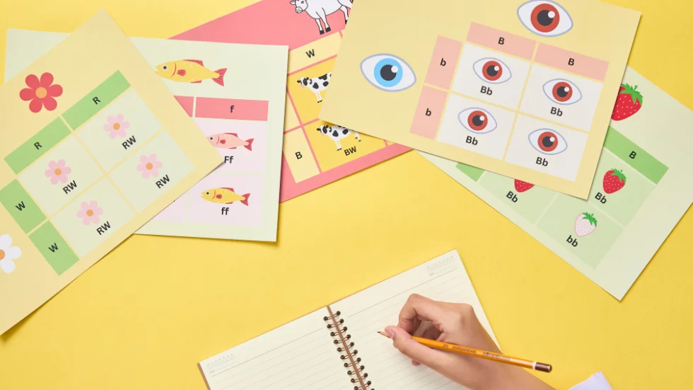 profesionalna vizualna identichnost na uchitelya