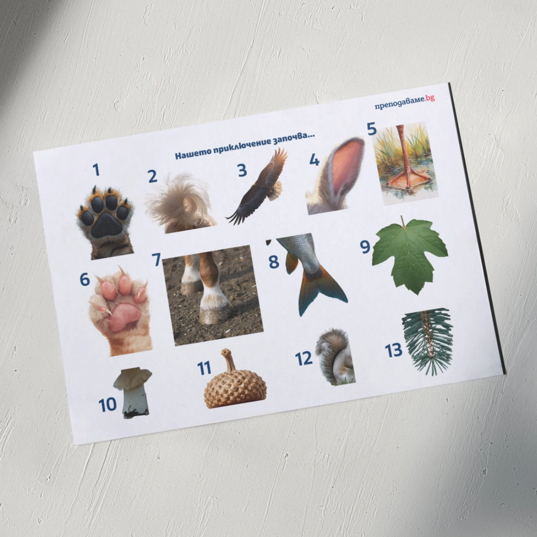 Prepodavame.bg_2kl_MAT_PBO-Izsledovateli-na-prirodata-prikluchenie-s-chisla-i-izmervaniya_RL-Kartinki-na-rasteniya-i-jivotni