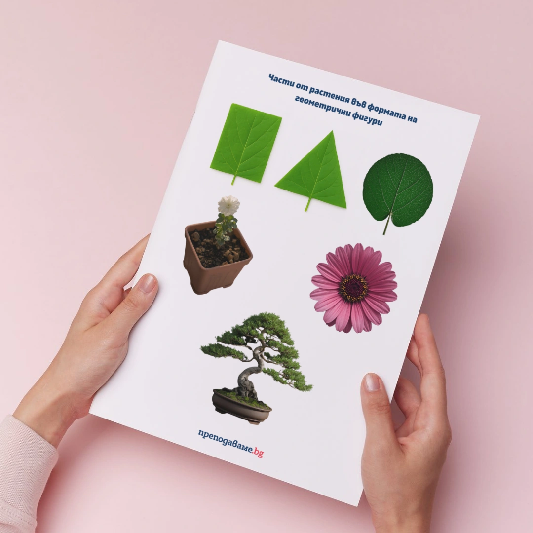 Prepodavame.bg_2kl_MAT_PBO-Izsledovateli-na-prirodata-prikluchenie-s-chisla-i-izmervaniya_RL-Rasteniya-geometrichni-figuri