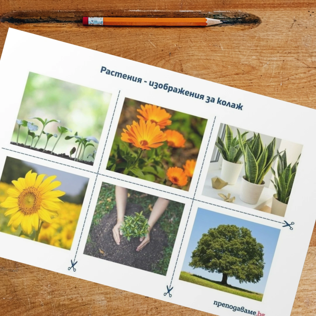 Prepodavame.bg_3kl_ChP_PBO - Izobrajeniq kolaj