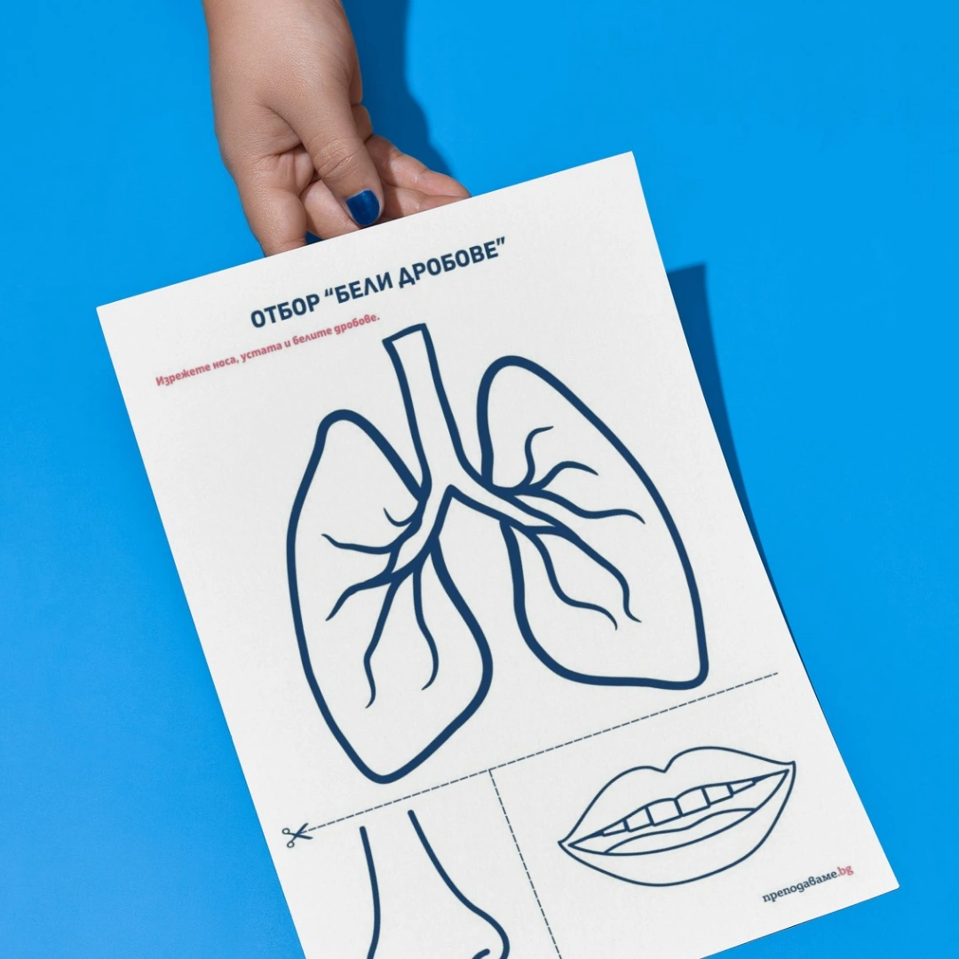 Prepodavame.bg_3kl_ChP_PBO - Otbor Beli drobove