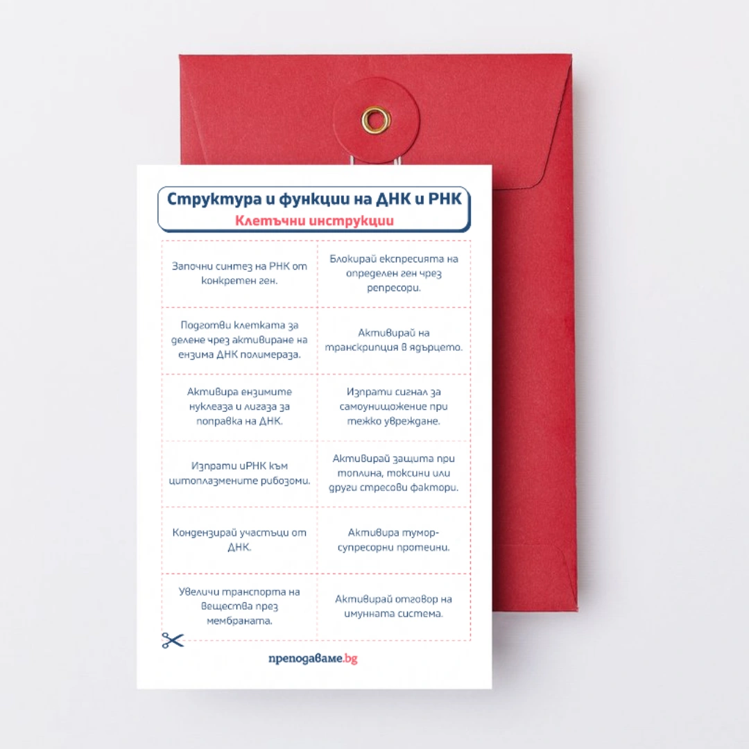 Prepodavame.bg_9kl_BIO_PBO-DNK-RNK-garantirano-dobra-kombinaciya_RL-Struktura-i-funkcii-na-DNK-i-RNK-kletuchni-instrukcii