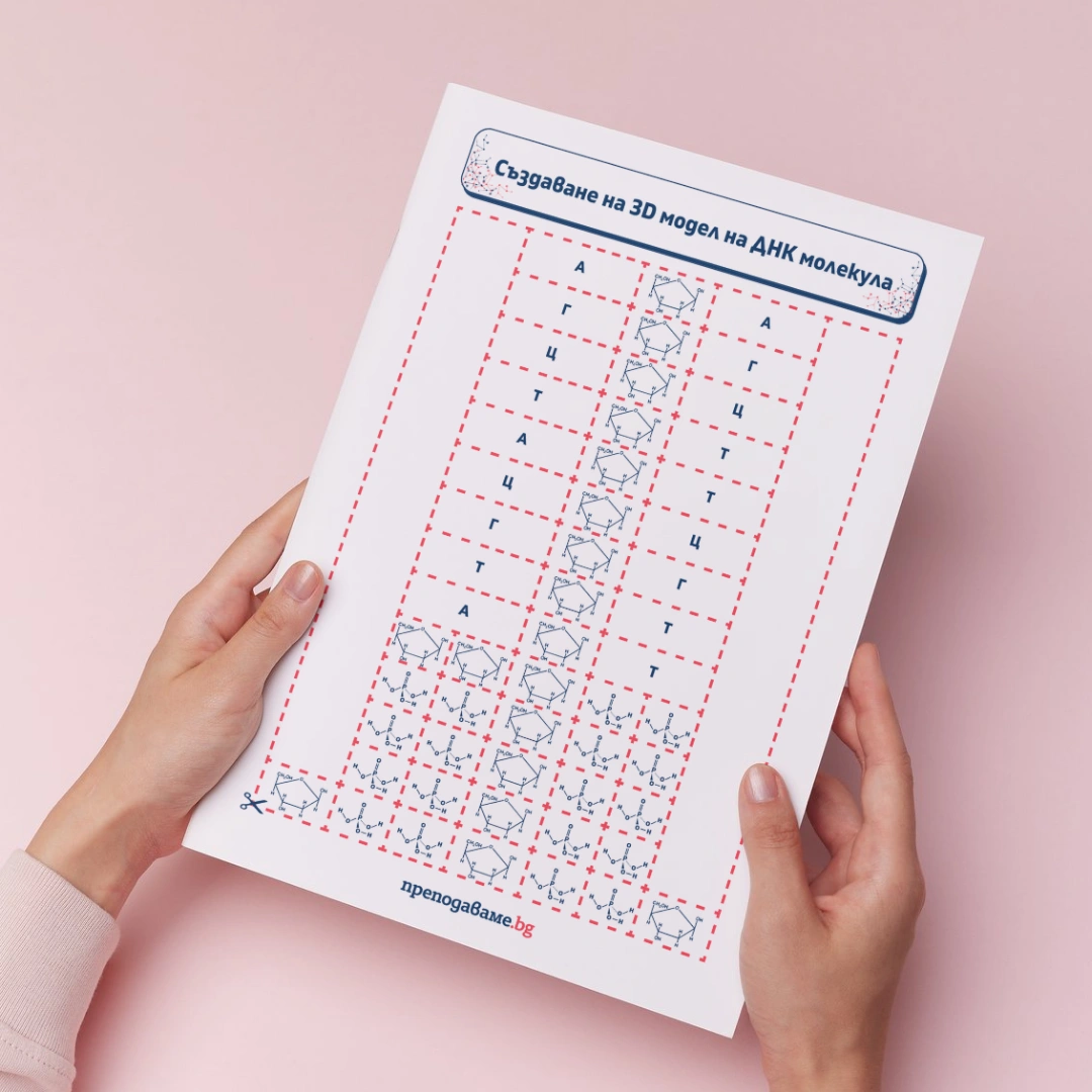 Prepodavame.bg_9kl_BIO_PBO-DNK-RNK-garantirano-dobra-kombinaciya_RL-Suzdavane-na-3D-model-DNK-molekula