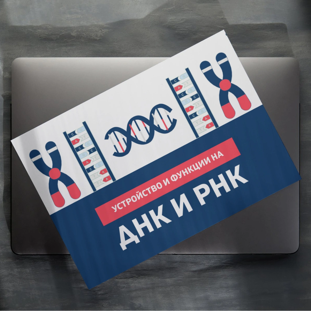 Prepodavame.bg_9kl_BIO_PBO-DNK-RNK-garantirano-dobra-kombinaciya_RL-Ustroistvo-i-funkcii-na-DNK-i-RNK (1)