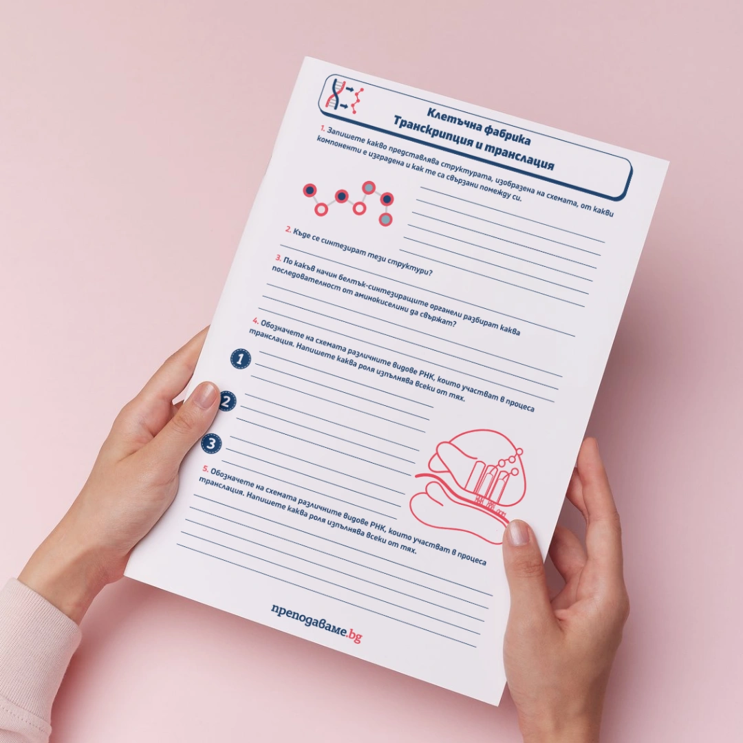 Prepodavame.bg_9kl_BIO_PBO-Ot-DNK-do-beltuk-kak-raboti-kletuchnata-fabrika_RL-Kletuchna-fabrika-transkripciya-translaciya