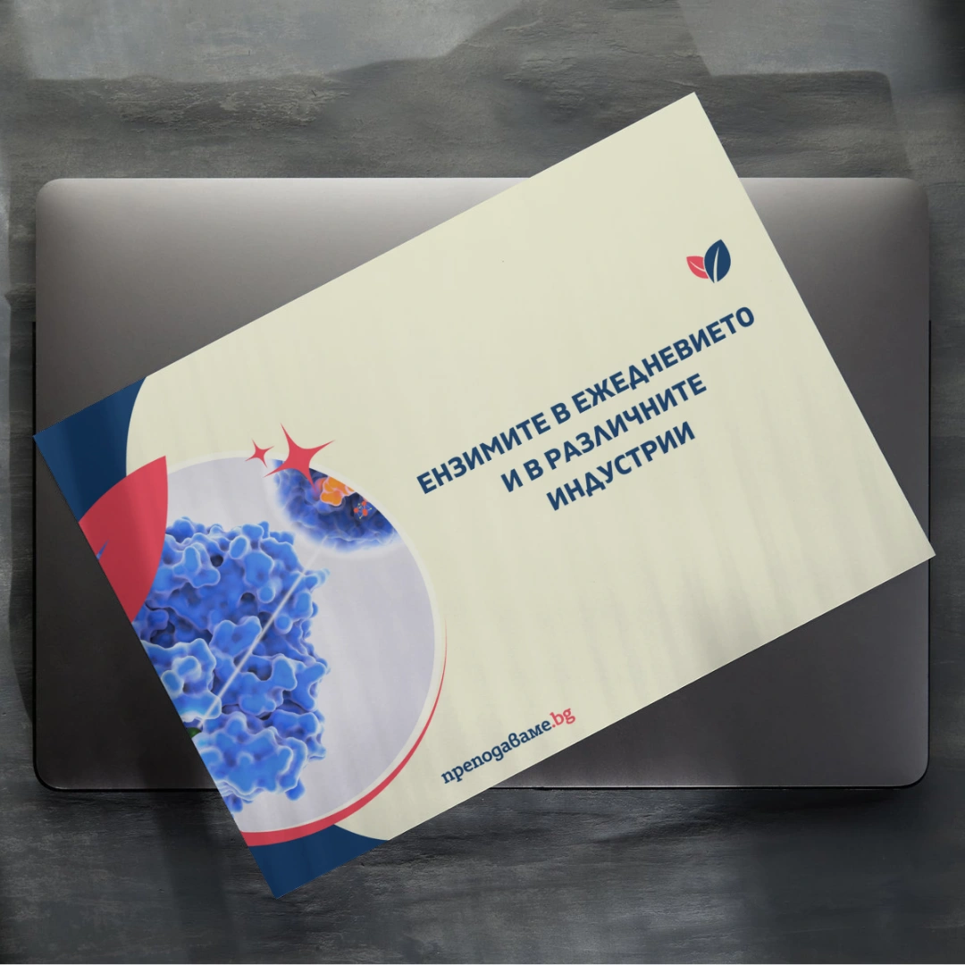 Prepodavame.bg_9kl_BIO_PBO-Katalitichni-reaktsii_RL-Enzimite-v-ejednevieto