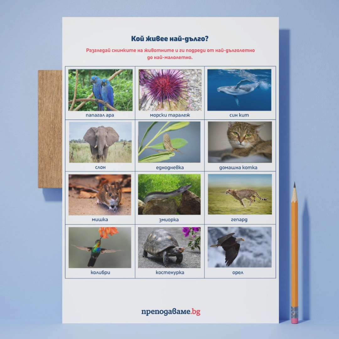 Prepodavame.bg_3kl_MAT_PBO Rekordi-na-zhivotnite_RL Sortirai-zhivotnite-po-dulgoletie