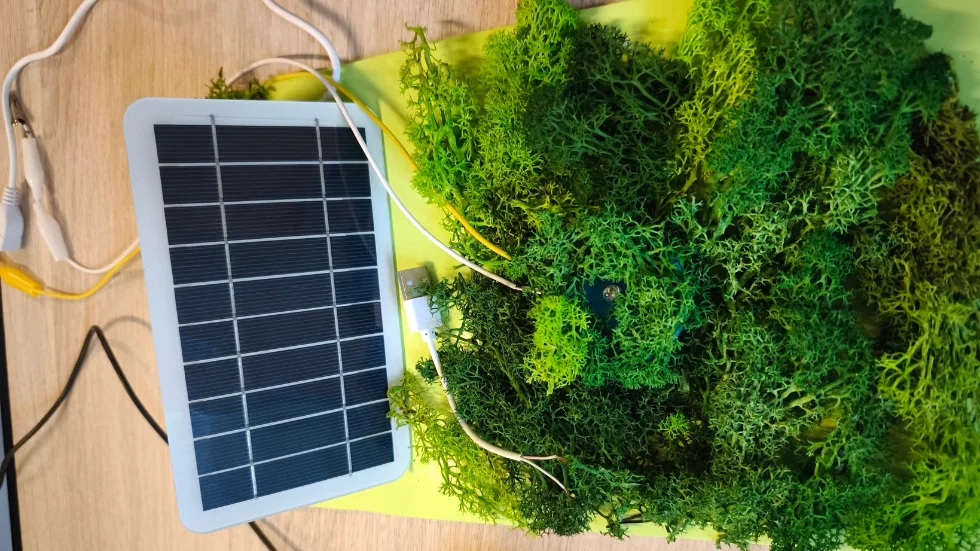 Ученически STEM проект