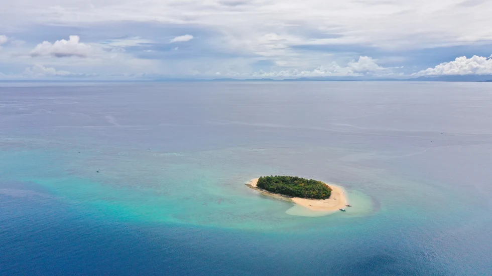 Яна Василева 78 hraneneto na robinzon – realen problem na izmislen geroy