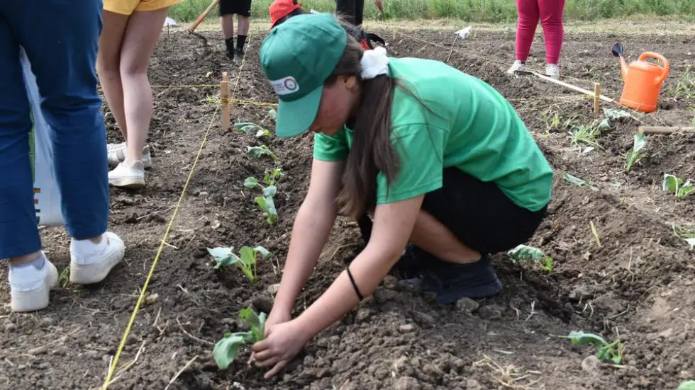 Активности 39 kakav e „patyat na zeleto