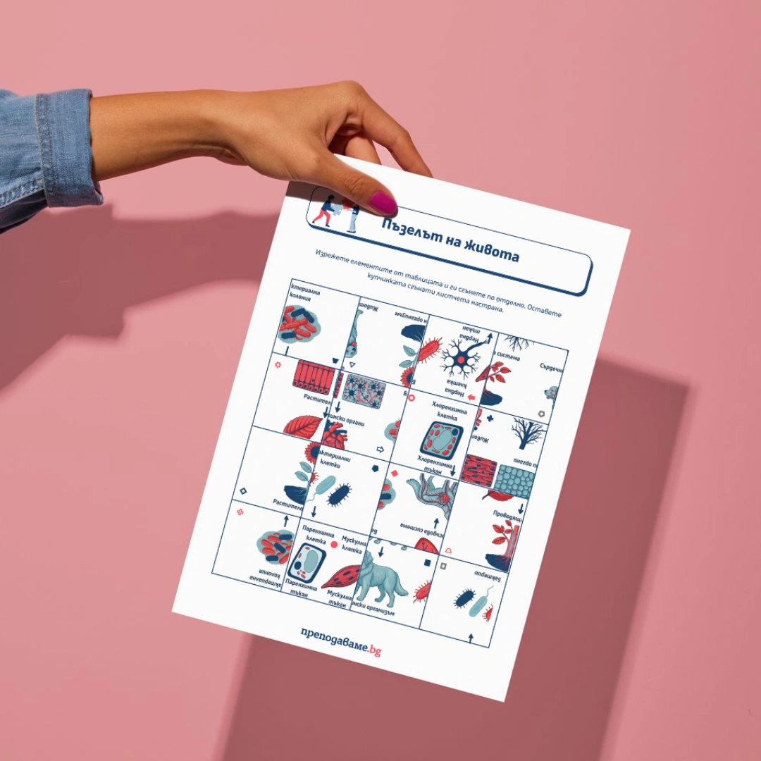 Prepodavame.bg 5kl CHP PBO Kletkite gradivnite blokcheta na jivota RL Chasti za pazelat na jivota