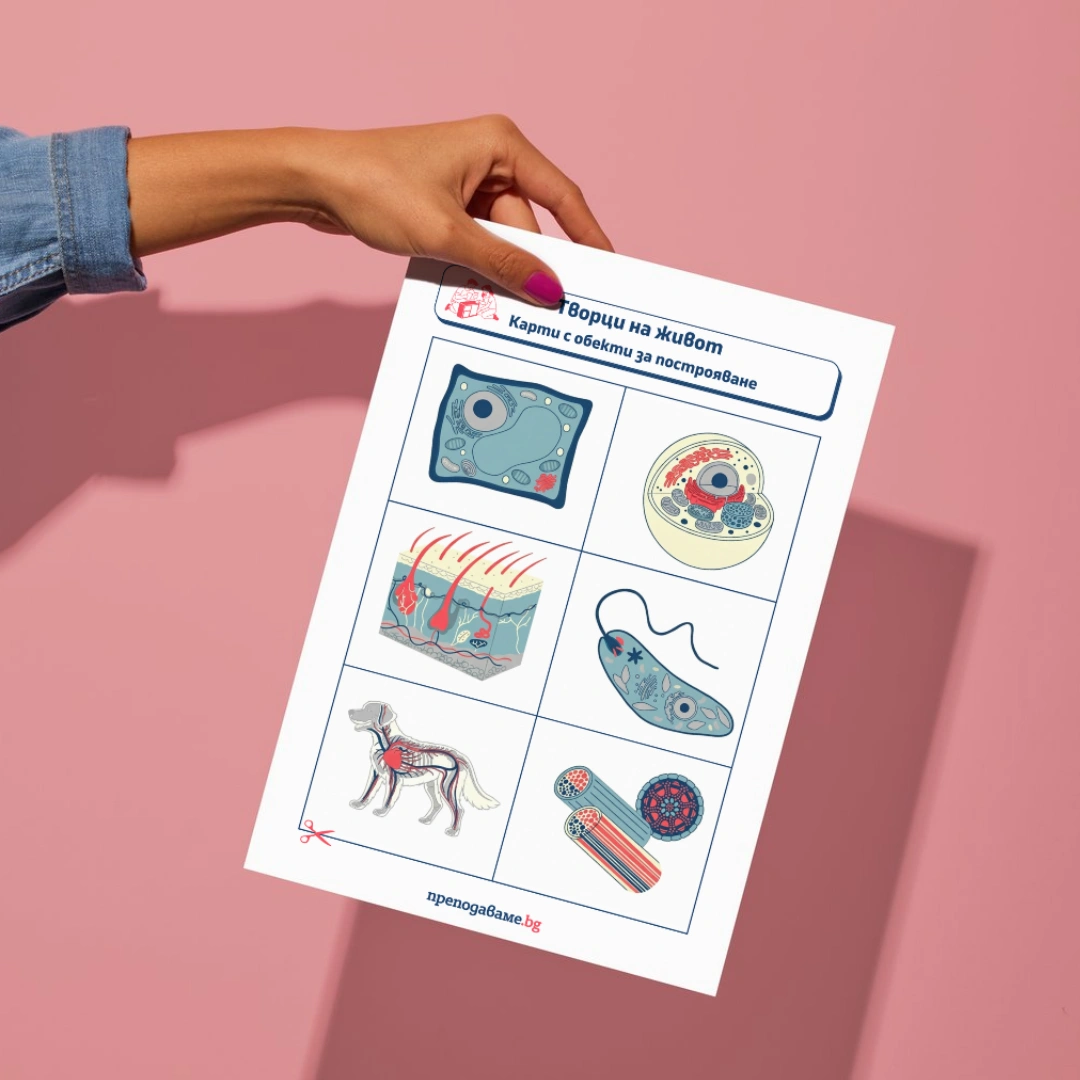 Prepodavame.bg 5kl CHP PBO Kletkite gradivnite blokcheta na jivota RL Karti s obekti za postroqvane