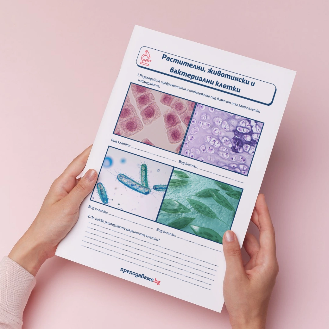 Prepodavame.bg 5kl CHP PBO Kletkite gradivnite blokcheta na jivota RL Kletachni strukturi