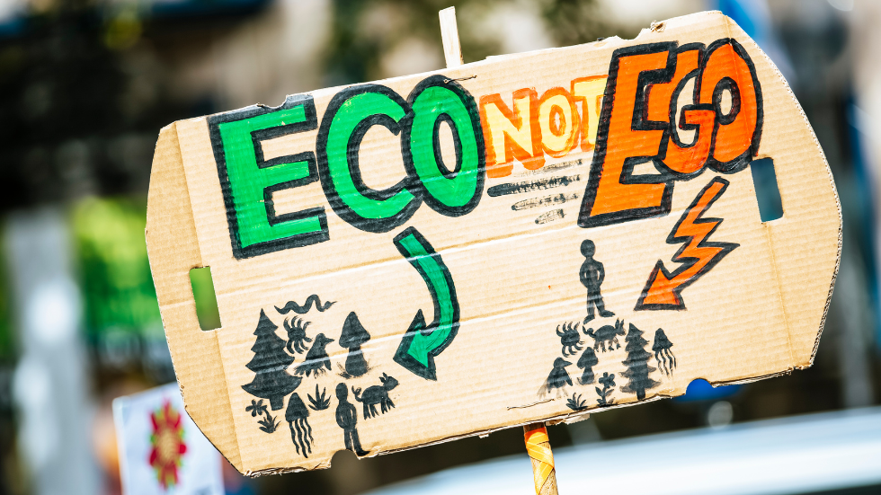 Eco STEM проекти и значението им за опазване на околната среда.