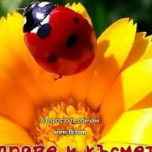 Профилна снимка на Татяна Марковска