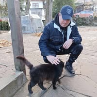 Профилна снимка на Веселин Вутов