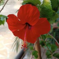 Профилна снимка на Мариана Ненова