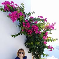 Профилна снимка на Деяна Тодорова