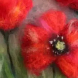 Профилна снимка на Росица Петрова-Чанева