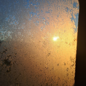 Профилна снимка на Виждан Емин