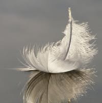 Профилна снимка на Радост Кунчева