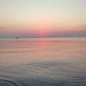 Профилна снимка на Любка Ковачева