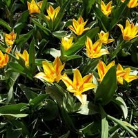 Профилна снимка на Елена Андонова