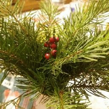 Профилна снимка на Надя Воденичарова