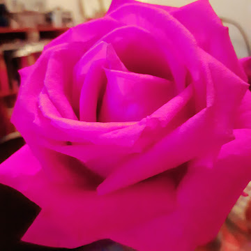 Профилна снимка на Yanica Ateva