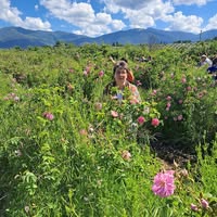 Профилна снимка на Надя Иванова