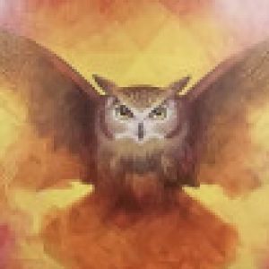 Профилна снимка на Диана Василева