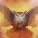 Профилна снимка на Диана Василева