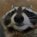 Профилна снимка на Дона-Мария Динева