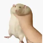 Профилна снимка на Екатерина Костова