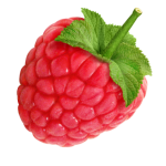 Профилна снимка на Малинка Петрова