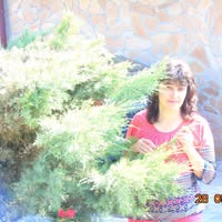 Профилна снимка на Мария Димитрова