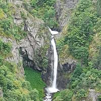 Профилна снимка на Десислава Куйова