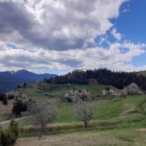 Профилна снимка на Диана Найденова