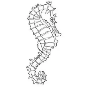 Профилна снимка на Красимира Тюкенова