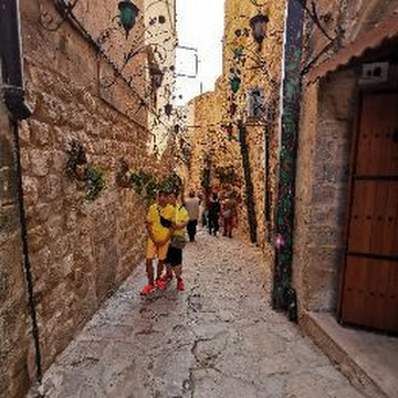 Профилна снимка на Милена Маринова-Димитрова