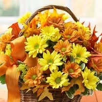 Профилна снимка на Недка Павлова