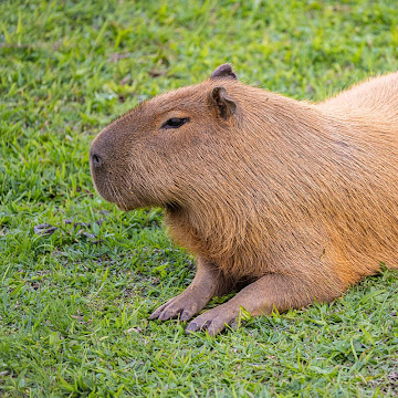 Профилна снимка на Станислав Стоянов
